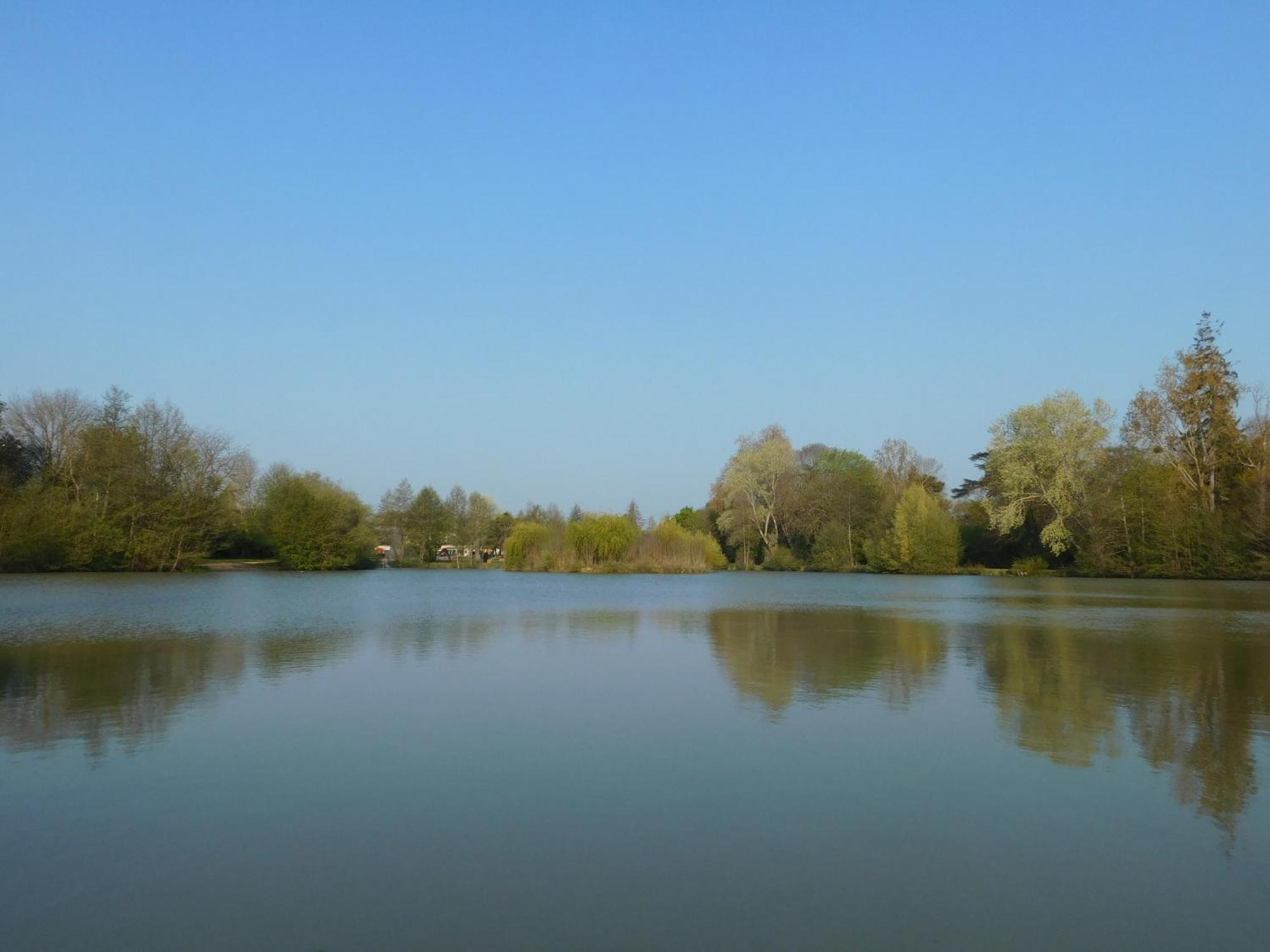 Village De Gites Nature Et Jardin Bouere Bagian luar foto