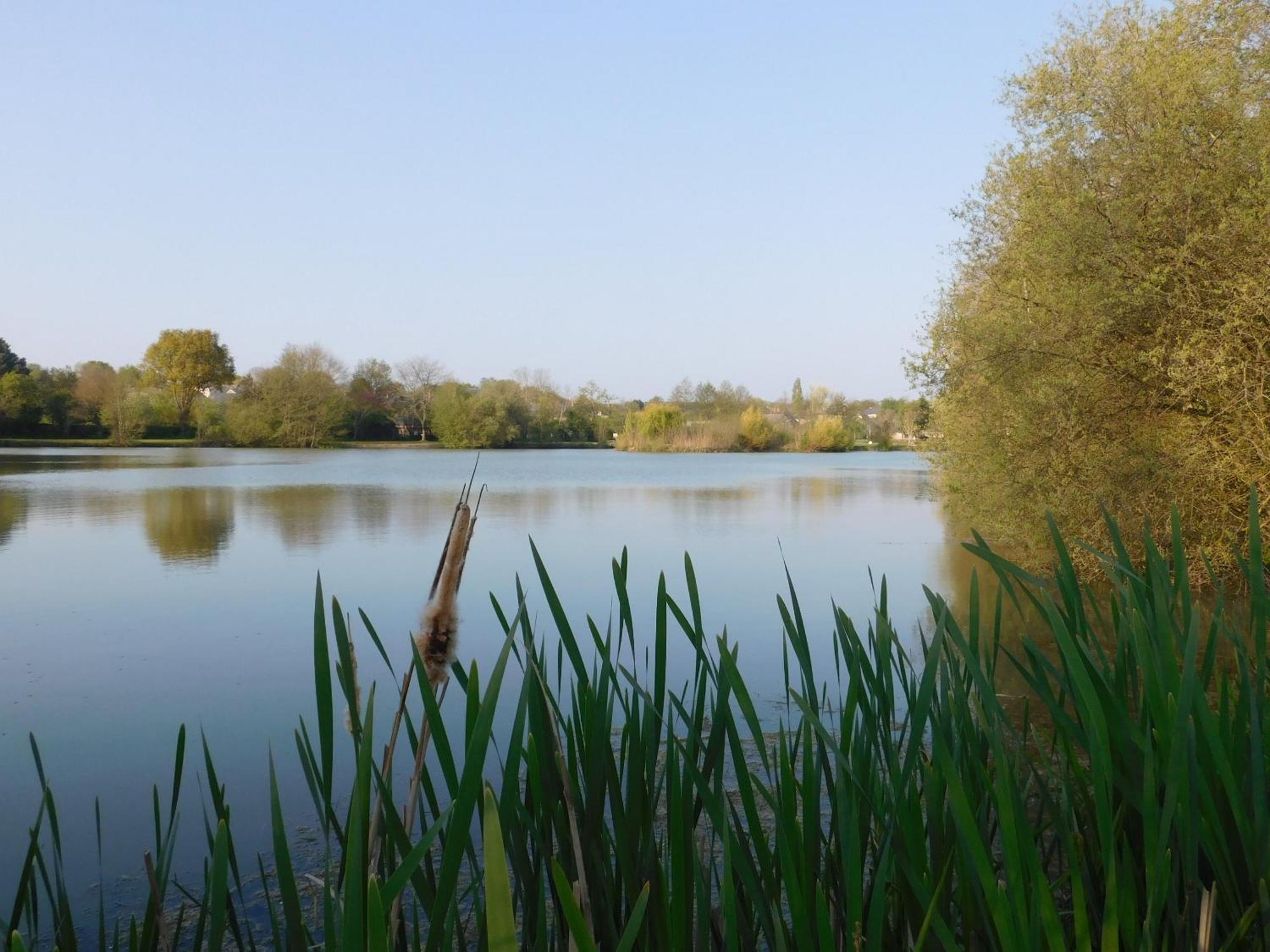 Village De Gites Nature Et Jardin Bouere Bagian luar foto